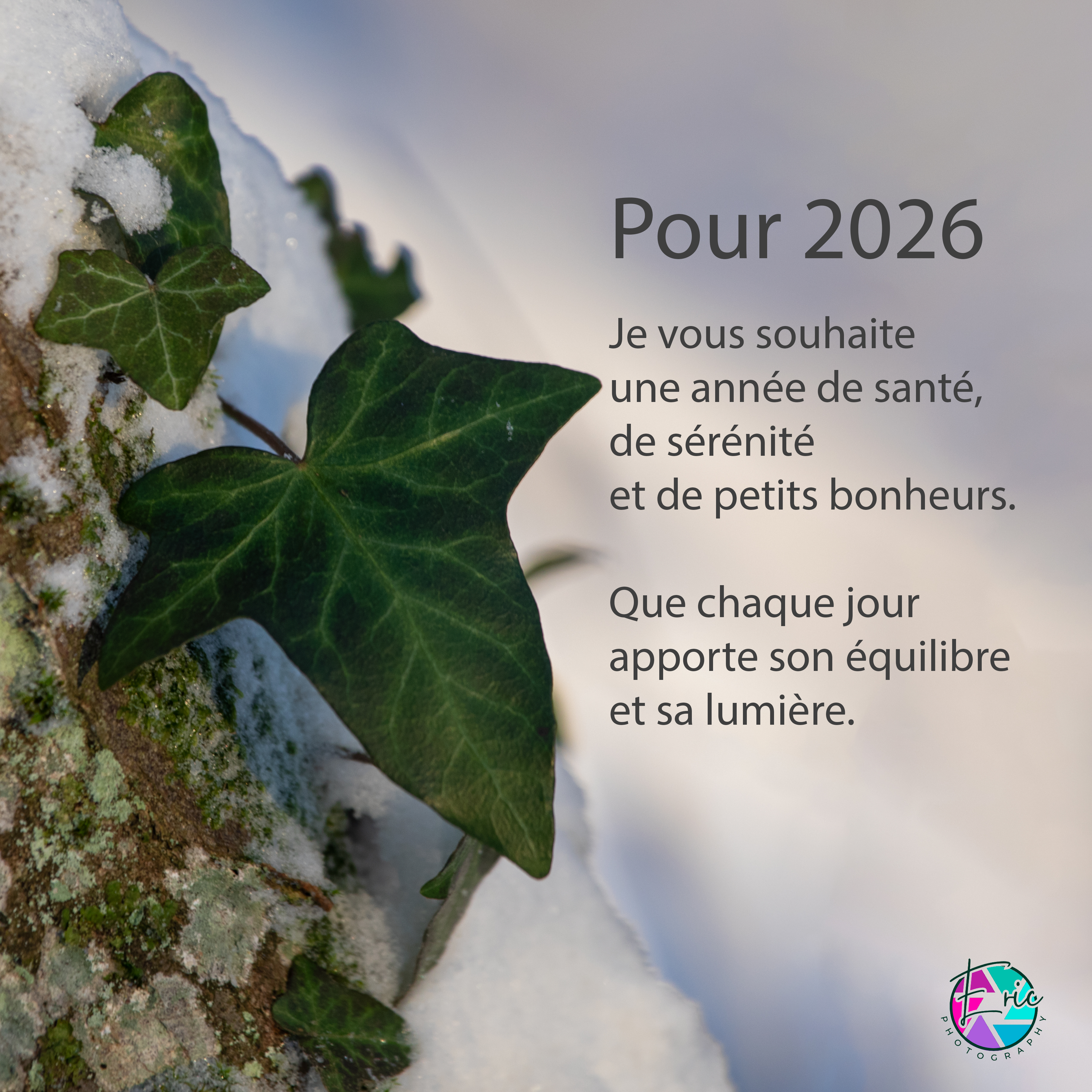 2026entreprise